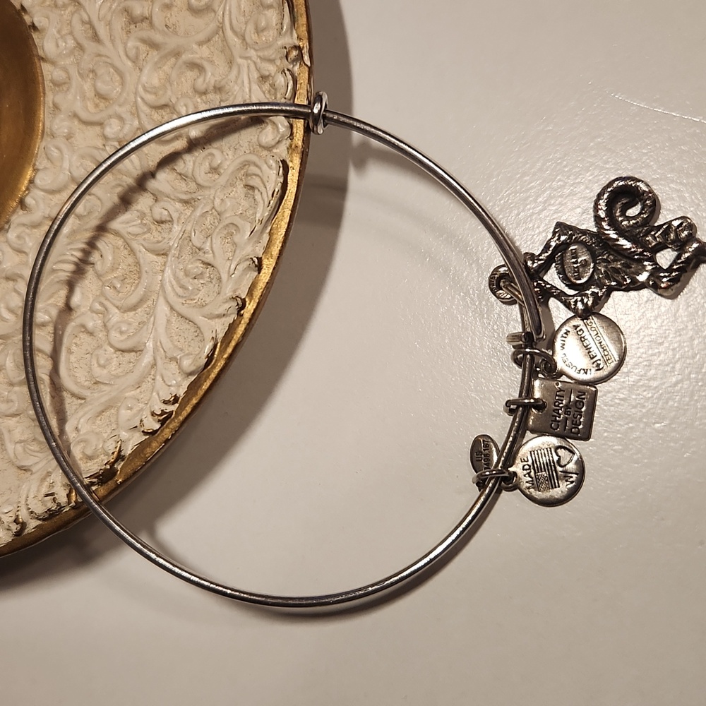 Alex and Ani Monkey Charm Bangle Bracelet - Picture 3 of 4
